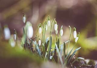 kiwihug hjrMxlaclfQ unsplash