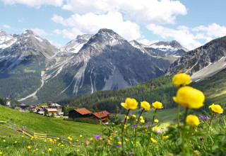 Blumenwiese Arosa