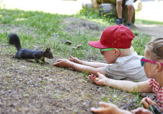 Le sentier des écureuils à Arosa