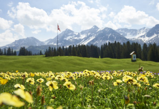 Golf Fruehlingsblumen 