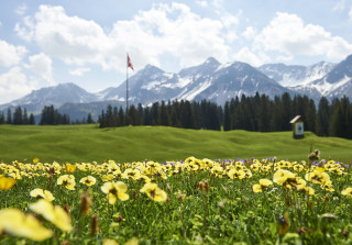 Golf in den Aroser Bergen 