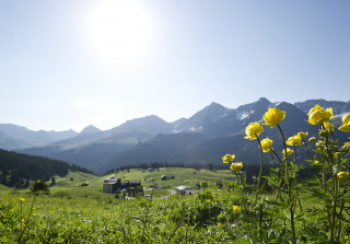 Summer in Arosa