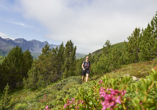 Wandern Mittelstation Hauptijkopf Juli16 008 s